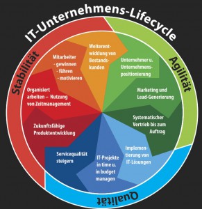 IT-Unternehmens-life-cycle